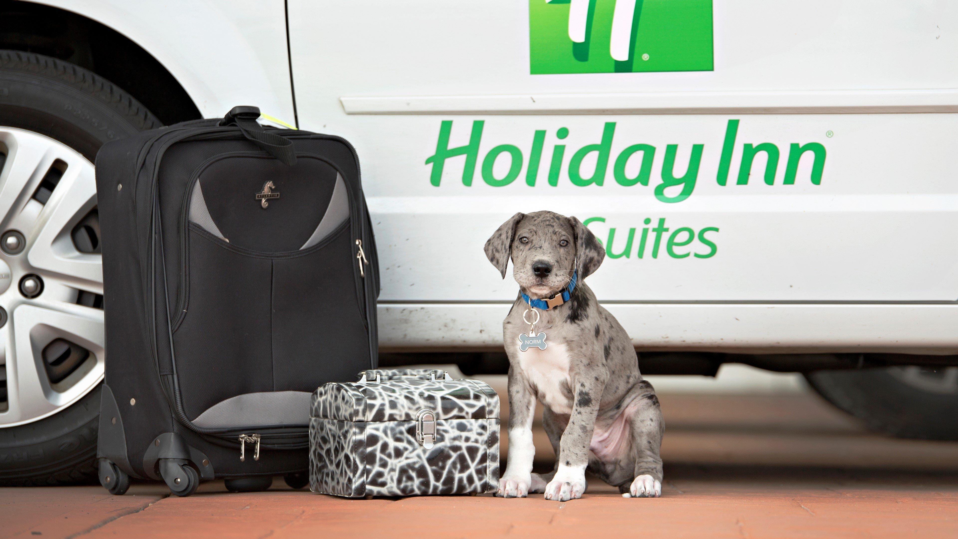 Holiday Inn Hotel & Suites Bloomington Airport By Ihg Dış mekan fotoğraf